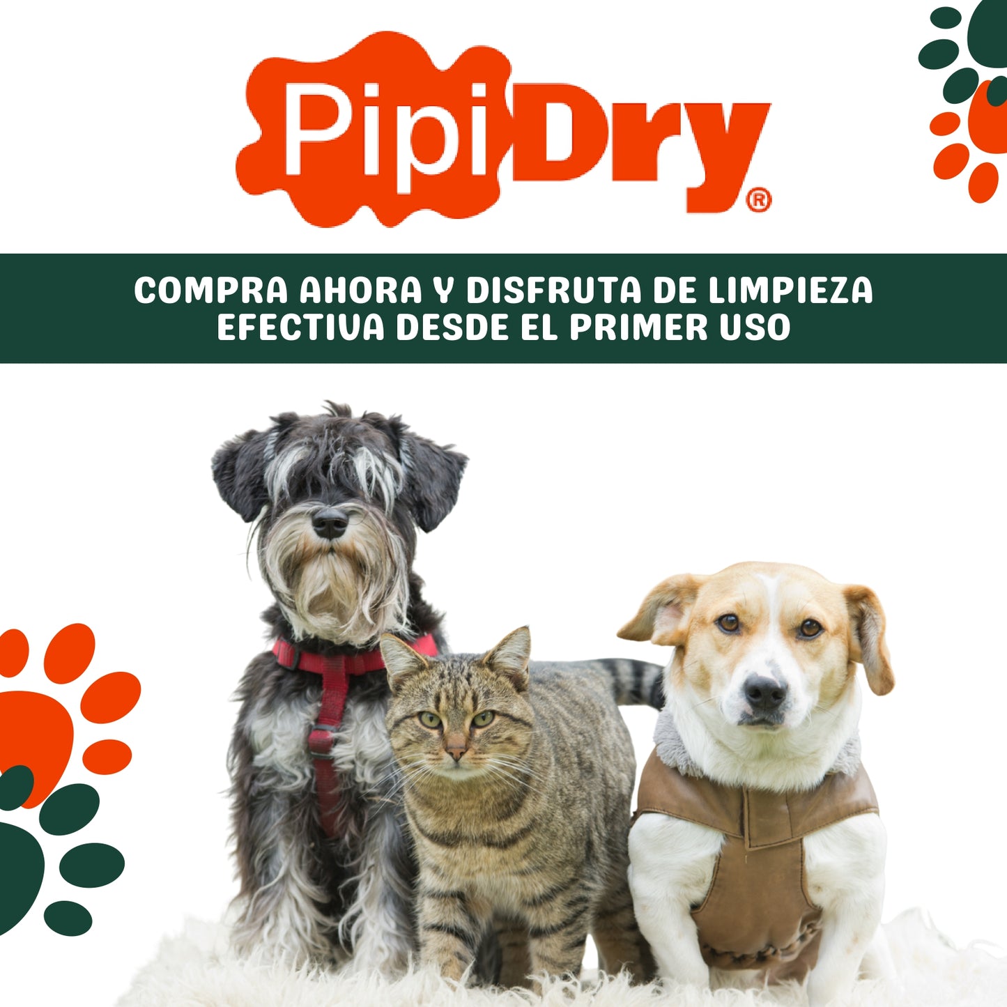 PIPIDRY 300GR-Limpia el pipi de tu mascota 🐶🐱