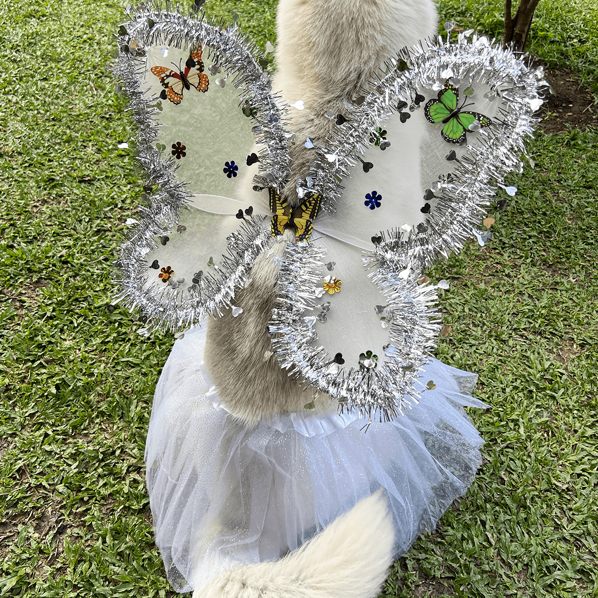 DISFRAZ PARA MASCOTA DE ANGEL BLANCO 🪽🐶