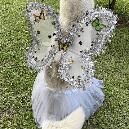 DISFRAZ PARA MASCOTA DE ANGEL BLANCO 🪽🐶