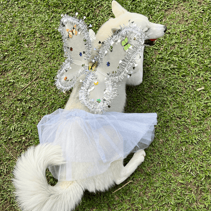 DISFRAZ PARA MASCOTA DE ANGEL BLANCO 🪽🐶
