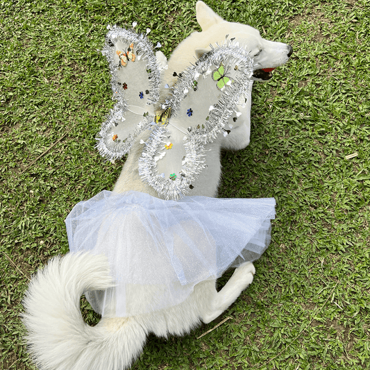 DISFRAZ PARA MASCOTA DE ANGEL BLANCO 🪽🐶