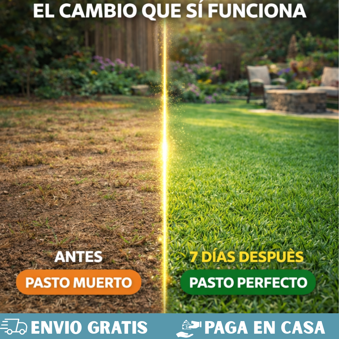 SEMILLAS DE CESPED-PASTO DE JARDIN🌱