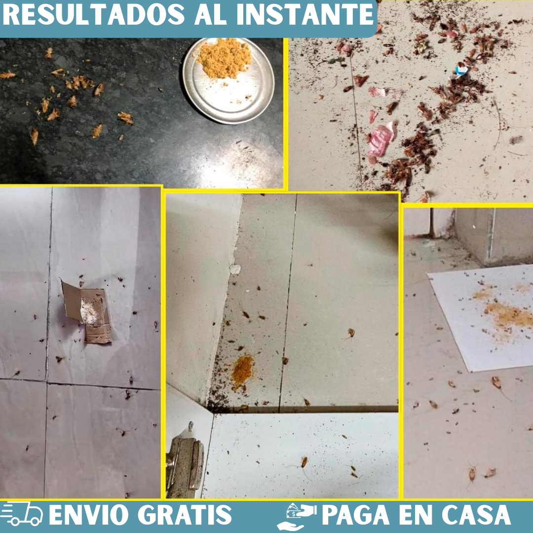 CEBO EN POLVO MATA CUCARACHAS-CAJA X30 SOBRES+20 GRATIS🪳🚫