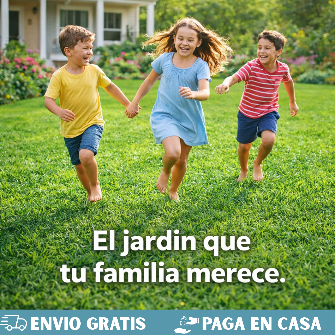 SEMILLAS DE CESPED-PASTO DE JARDIN🌱