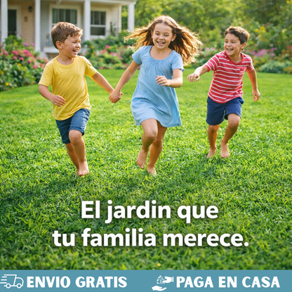 SEMILLAS DE CESPED-PASTO DE JARDIN🌱