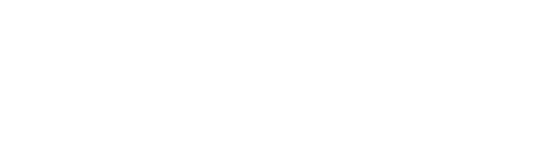 solucionando problemas