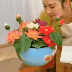 SEMILLAS FLOR DE LOTO+GUIA PASO A PASO PARA CULTIVAR